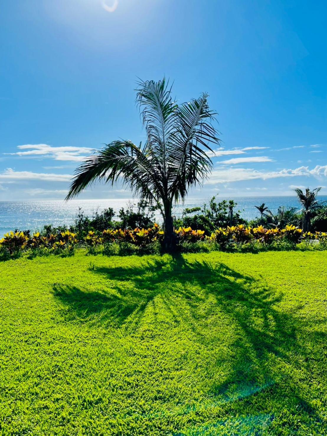Taitung Blue Sea Villa تشينجونج المظهر الخارجي الصورة